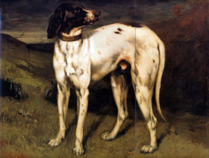 Gustave Courbet A Dog from Ornans